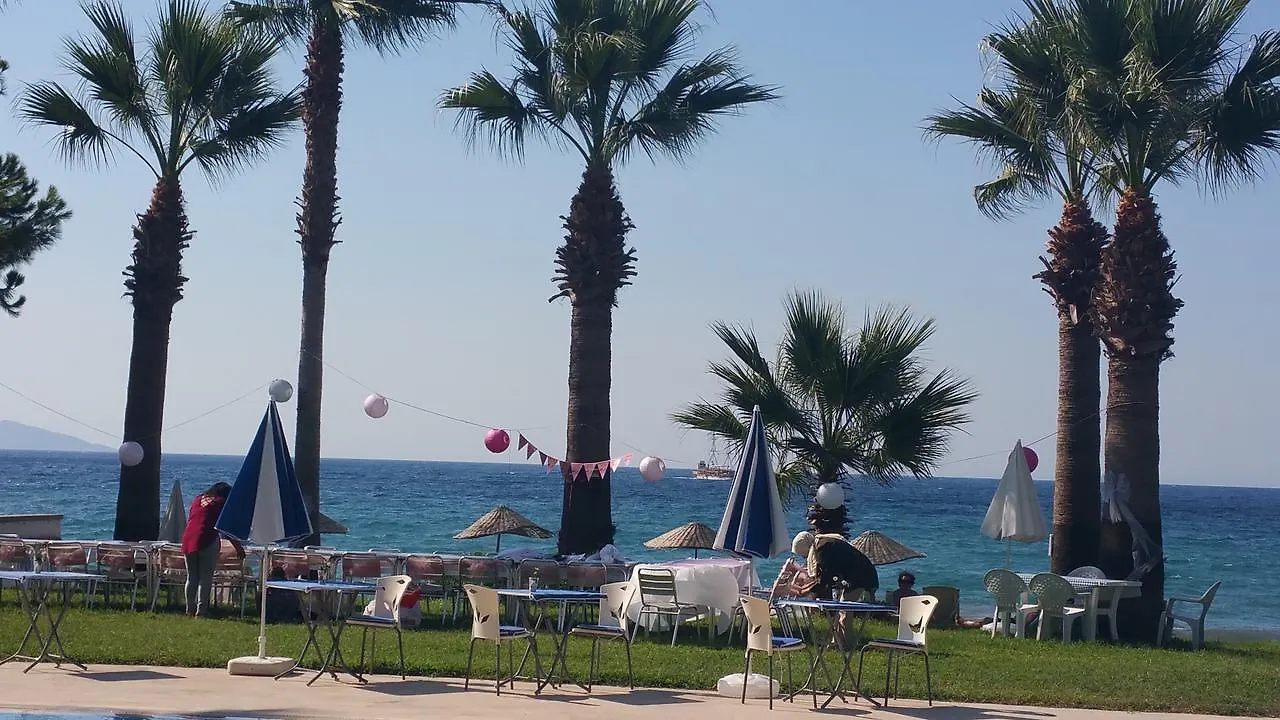 Art Beach Hotel Guzelcamlı Turcja